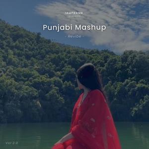 Punjabi Mashup (Revibe)