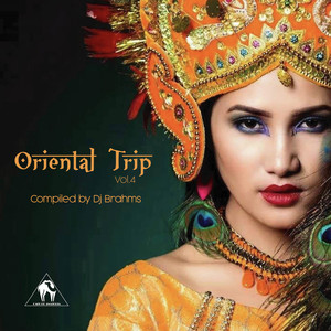 Oriental Trip, Vol. 3 (Compiled by Dj Brahms)