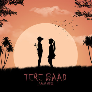 Tere Baad