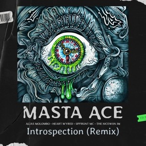 Alias Molombo - Instrospection (Remix Instrumental)