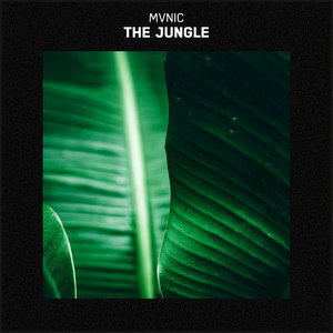 The Jungle