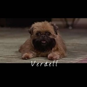 Verdell (猫屎先生)