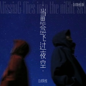 当思念飞过夜空 (DJ铁柱版)