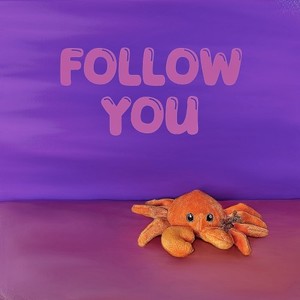 Follow You