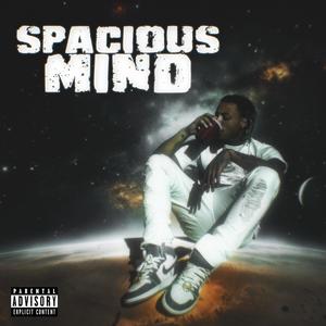 Spacious Mind (Explicit)