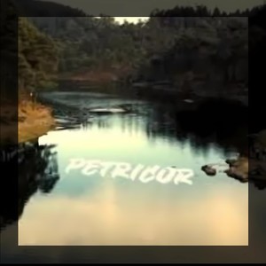 Petricor