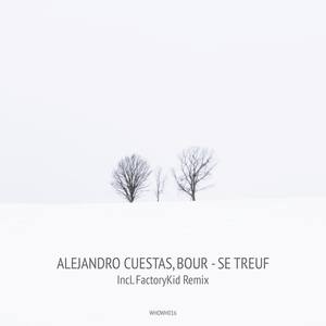 Se Treuf (Original Mix)