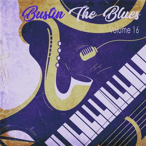 Bustin the Blues, Vol. 16