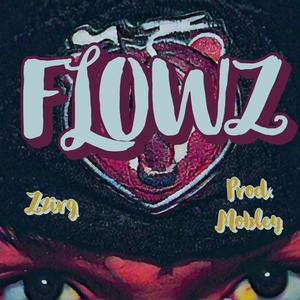 Flowz (Explicit)