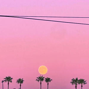 (s o m e o n e) [l i k e] y o u__