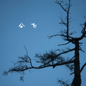 分飞 (r&b氛围版)