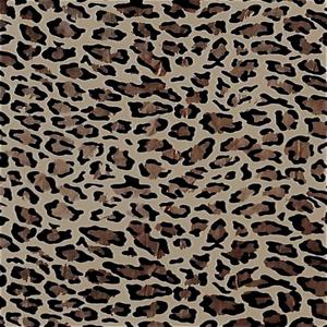 Cheetah Print (Explicit)