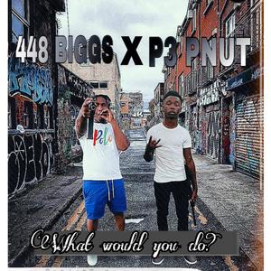 WHAT WOULD YOU DO Pt. 2 (feat. 448BIGGS) [Explicit]