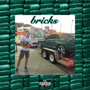 Bricks