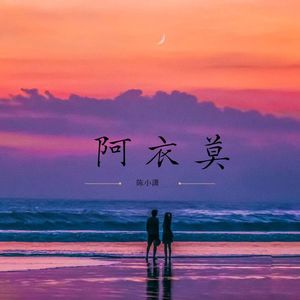 阿衣莫 (0.8X降调越南鼓版)