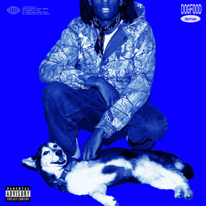 DOGFOOD demos (Explicit)