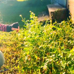 THE FUTURE HOLDS BEAUTY