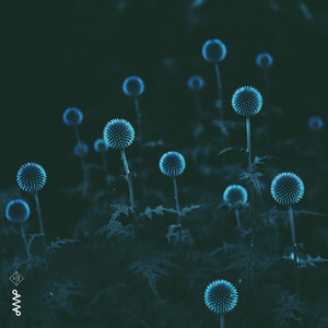 Bigger, Electric Forest