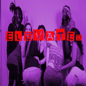 Elevated(feat. Woo Tha Shoota) (Explicit)