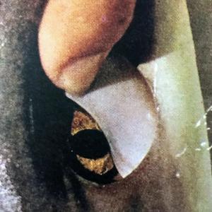 Riding a Glass Horse With Window Magic (feat. Window Magic)