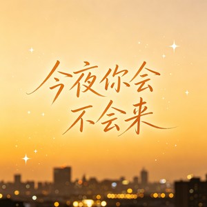 今夜你会不会来 (深情女版)封面