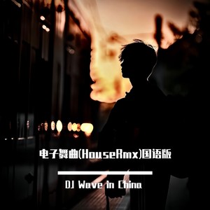 晚风心里吹 (Remix|DJ Wave remix)封面