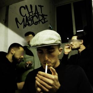 CHAT MAIGRE (Explicit)