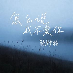 怎么说我不爱你