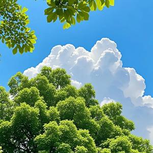 年轻时的天空（钢琴）