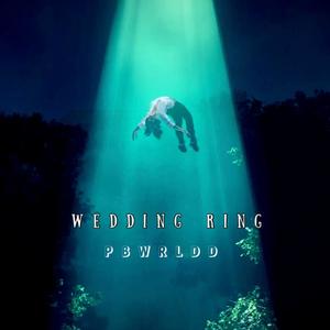 wedding ring (feat. pbwrldd) [Explicit]