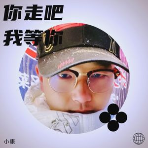 吴小康 - 平凡的日子里的挣扎