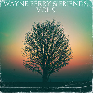 Wayne Perry & Friends, Vol. 9