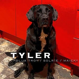 TYLER (feat. Solrie & Maicky) [Explicit]