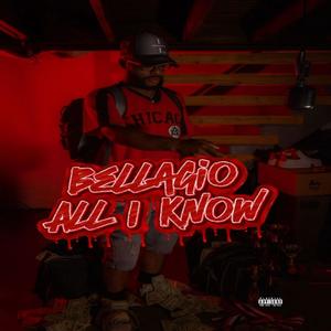 All I Know (feat. Brickz Bellagio) (Explicit)