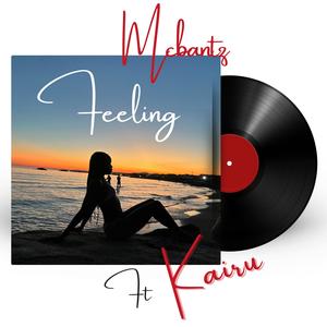 FEELINGS (feat. Kairu)