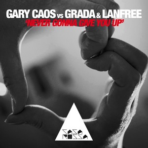 Never Gonna Give You Up (Original Mix)