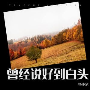 我们还是算了吧