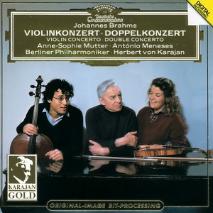 Violin Concerto in D Major, Op. 77 - I. Allegro non troppo (D大调小提琴协奏曲，作品77 - 第一乐章 不太快的快板)