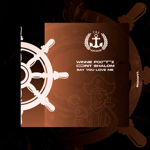 Say You Love Me (Radio-Edit)