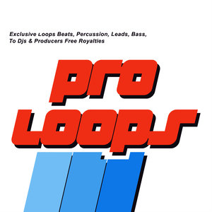 American House Pluck 2 128(Tool 12)