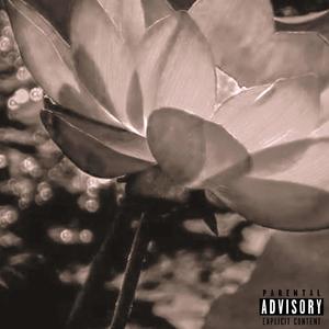 Fiori di loto (feat. MAV) (Explicit)