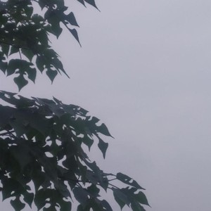 思念