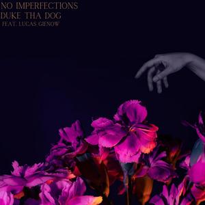 No Imperfections (feat. Lucas Gienow)