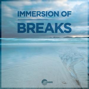 Immersion Of Breaks