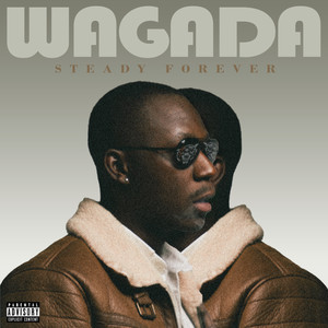 Steady (Explicit)