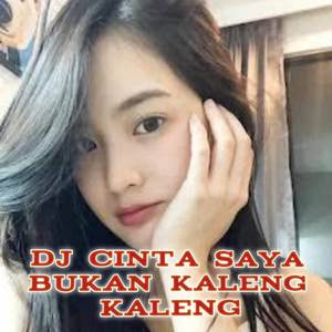 DJ CINTA KU BUKAN KALENG KALENG