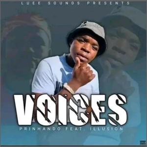 Voices (feat. Prinhando & Illusion) (Explicit)