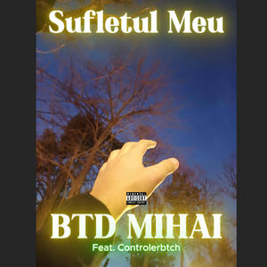 Sufletul Meu (feat. Controlerbtch) [Explicit]