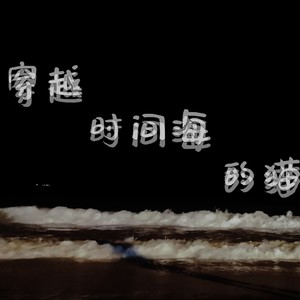 穿越时间海的猫