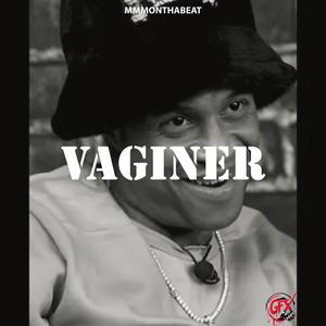 Vaginer